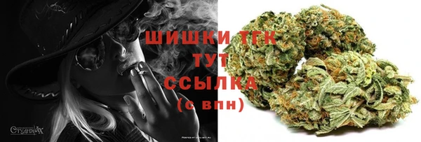 крисы Горно-Алтайск