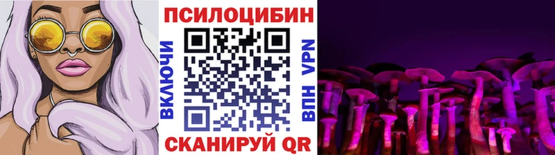 Псилоцибиновые грибы прущие грибы Елизово
