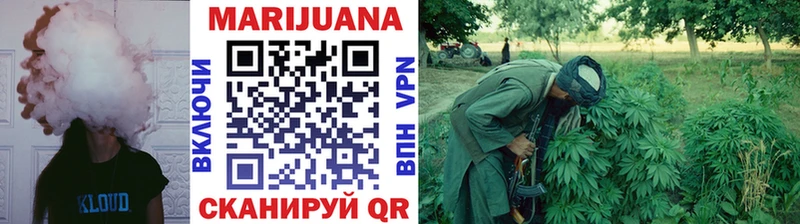 что такое   Елизово  мега зеркало  Конопля планчик 